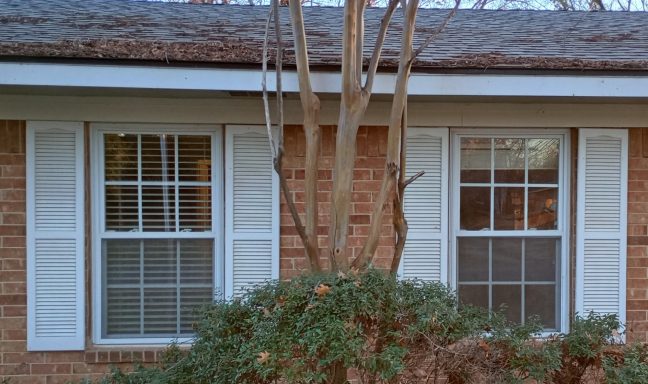 Bedroom Windows After