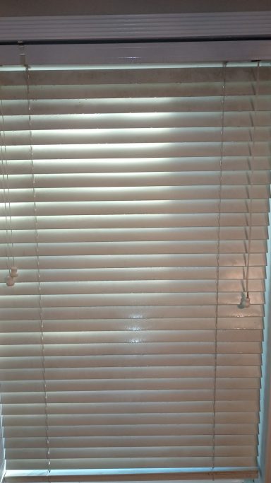 Window Blind Before
