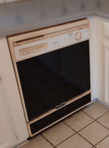 Dishwasher Before
